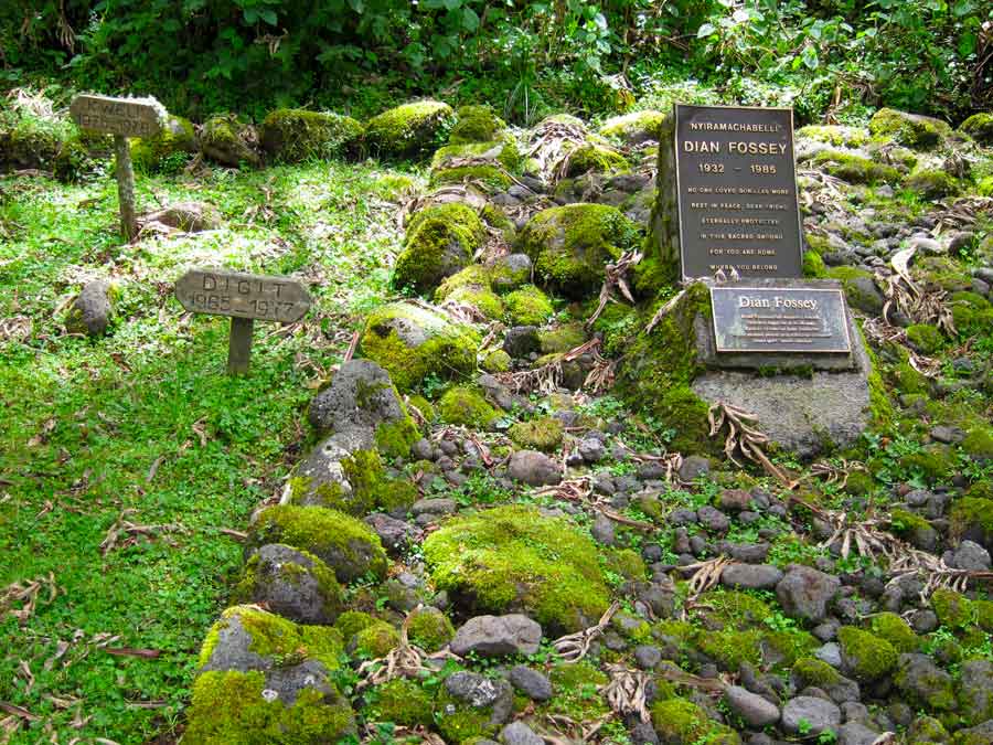 dian-fossey-hike-in-rwanda